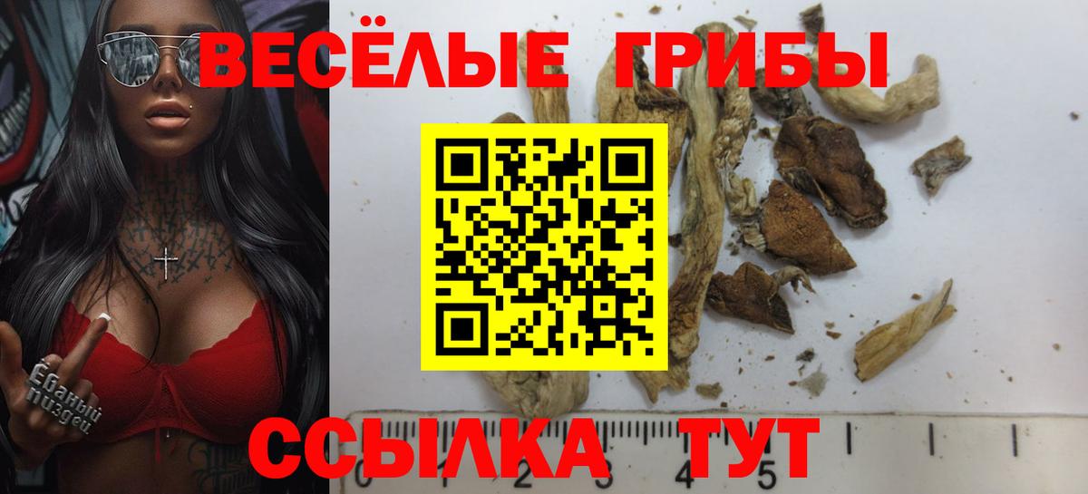 Галлюциногенные грибы MAGIC MUSHROOMS  Вход с VPN  Псилоцибиновые грибы GOLDEN TEACHER  Копейск 